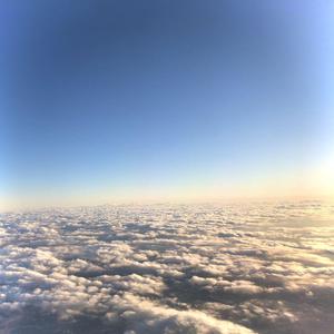 国产与亚洲成人网站
