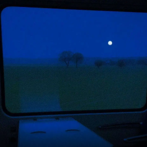 国产与亚洲成人网站
