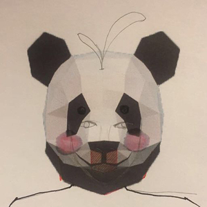 国产与亚洲成人网站
